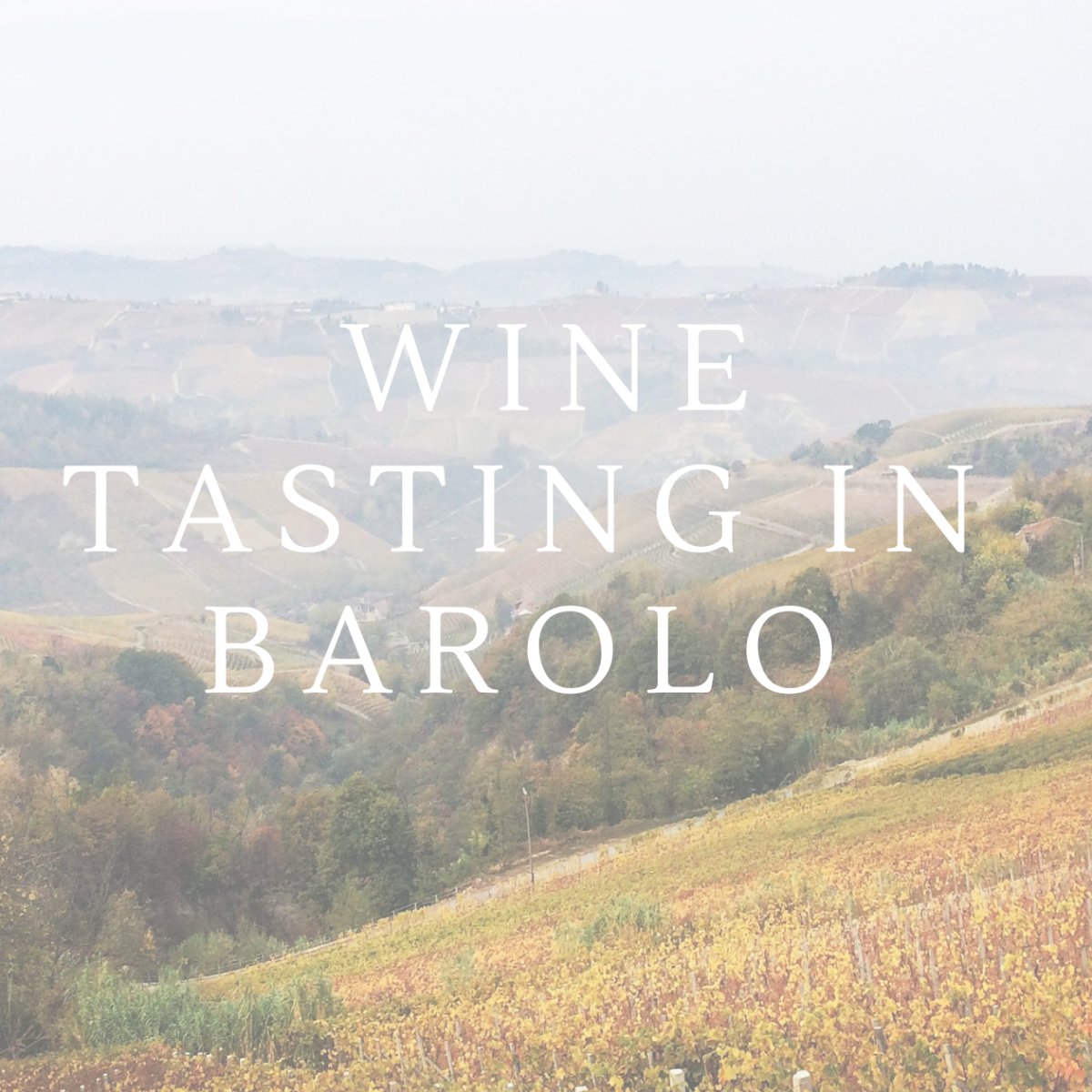 Wine Tasting in Barolo, Italy