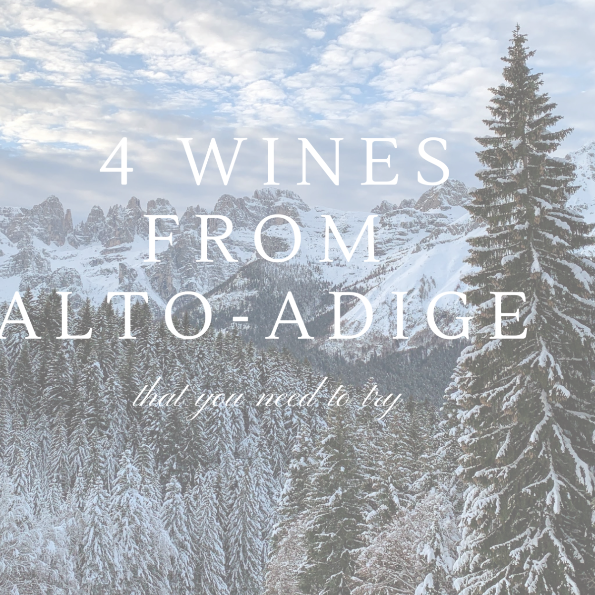 Alto-Adige Wine Region: 4 Wines You Need to Try