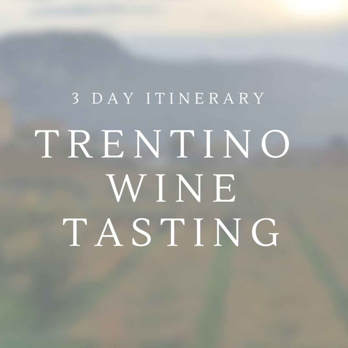 3 Days in Trentino – Complete Wine Tasting Itineraries
