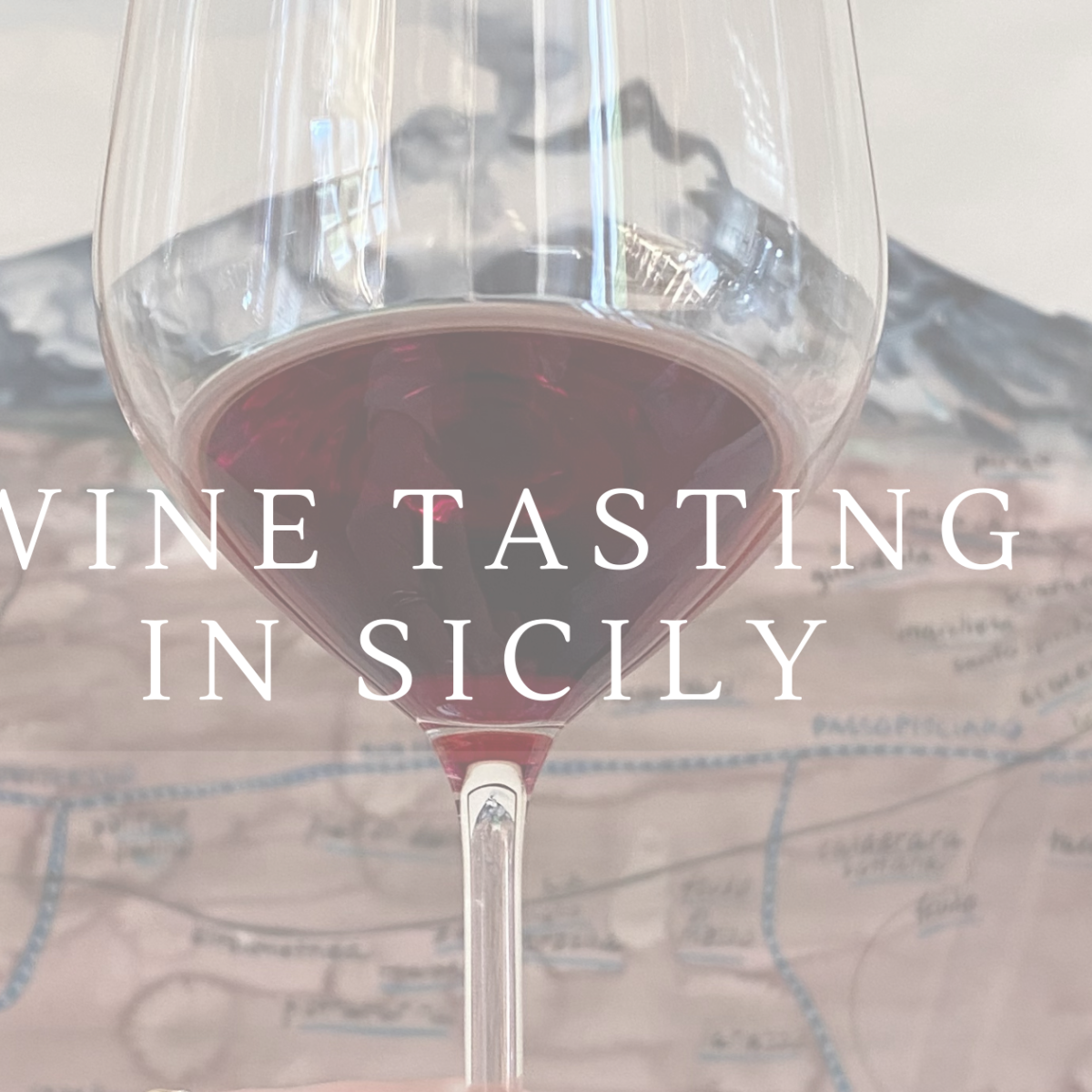 Wine Tasting in Sicily